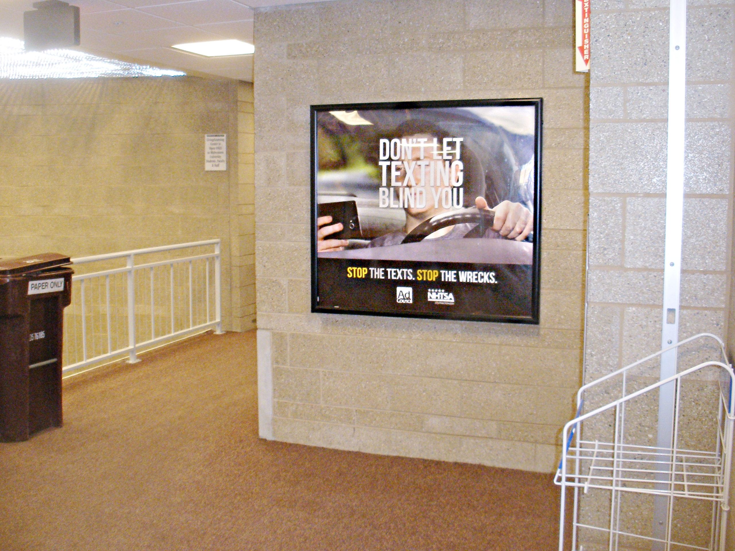 cause marketing for young audiences