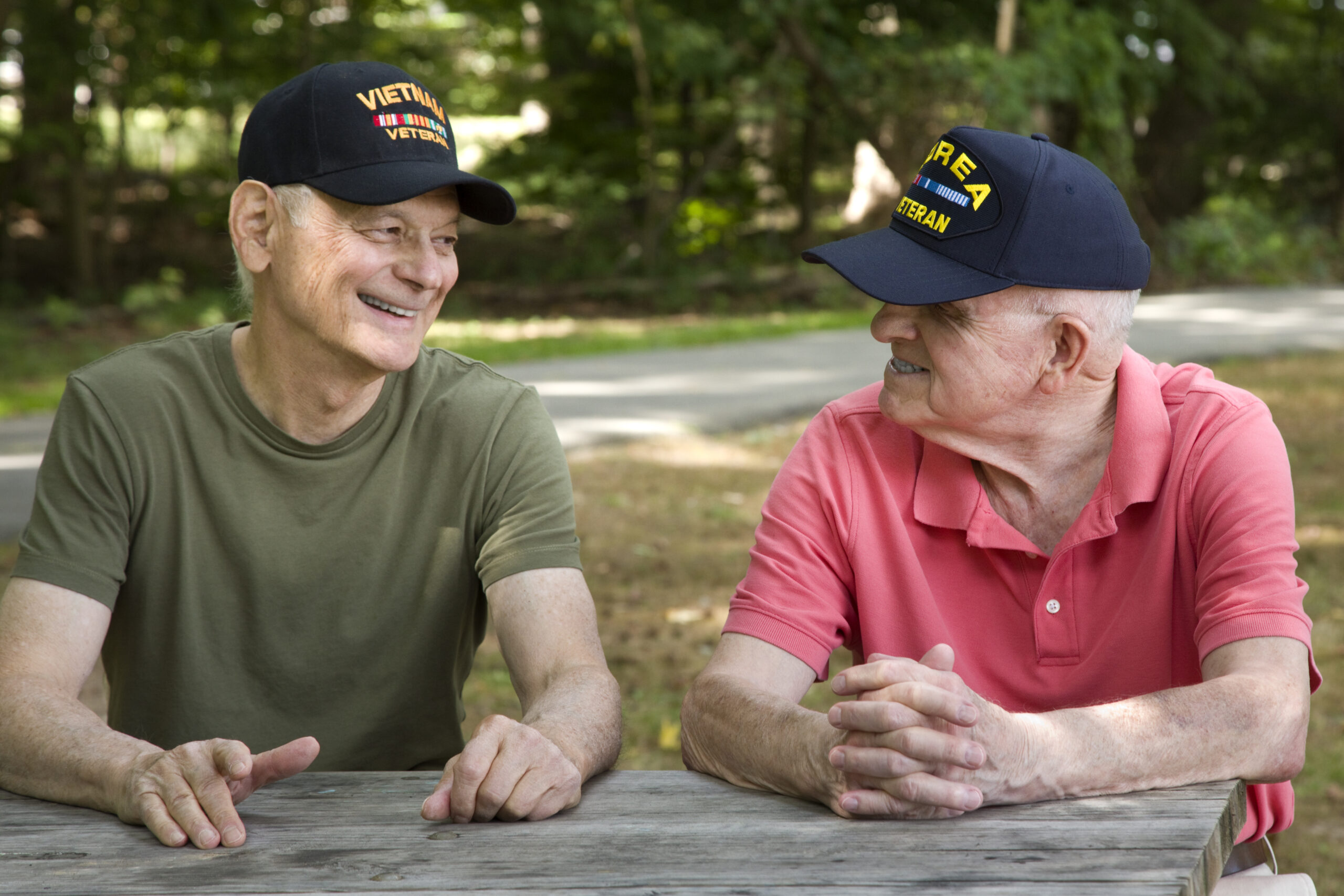 Veterans day clipart free